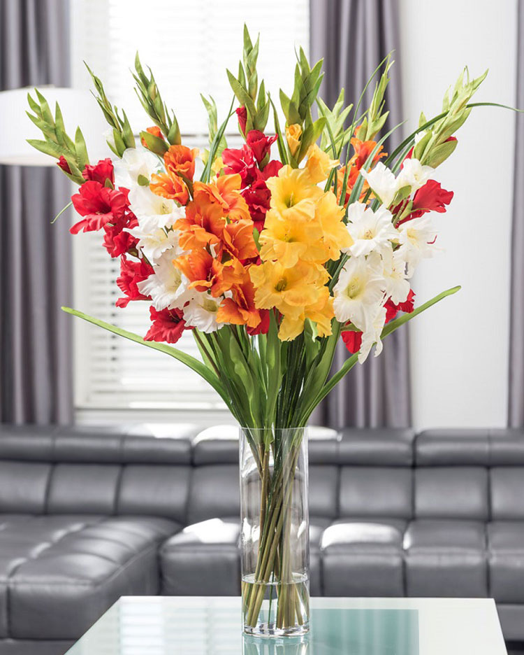 Tại Việt Nam, hoa dơn được xem là loài hoa tượng trưng cho may mắn, đem lại vượng tài cho gia chủ. Ngoài ra, trong phong thủy, hoa dơn còn có tên gọi khác là lan kiếm nên mang ý nghĩa trừ tà, xua đuổi tà ma, điều xấu