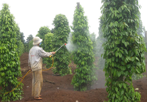 Phân trung lượng vôi - lân - canxi thực chất là một hỗn hợp các chất hóa học bổ sung dinh dưỡng trung lượng chính là Canxi, Magie và Silic (chỉ có 1 ít lân, tùy theo lượng dùng của nhà sản xuất < 5%). Chủ yếu phục vụ cho việc cải tạo đất, nâng cao pH đất cho đất chua và cung cấp thêm ít trung lượng cho cây trồng. Bên cạnh đó, đôi khi còn cho thêm các nguyên tố siêu vi lượng, đất hiếm, chất kích thích sinh trưởng.