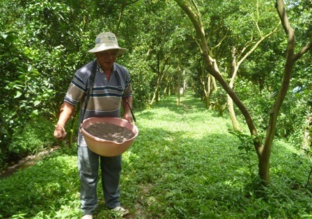 Phân trung lượng vôi - lân - canxi thực chất là một hỗn hợp các chất hóa học bổ sung dinh dưỡng trung lượng chính là Canxi, Magie và Silic (chỉ có 1 ít lân, tùy theo lượng dùng của nhà sản xuất < 5%). Chủ yếu phục vụ cho việc cải tạo đất, nâng cao pH đất cho đất chua và cung cấp thêm ít trung lượng cho cây trồng. Bên cạnh đó, đôi khi còn cho thêm các nguyên tố siêu vi lượng, đất hiếm, chất kích thích sinh trưởng.