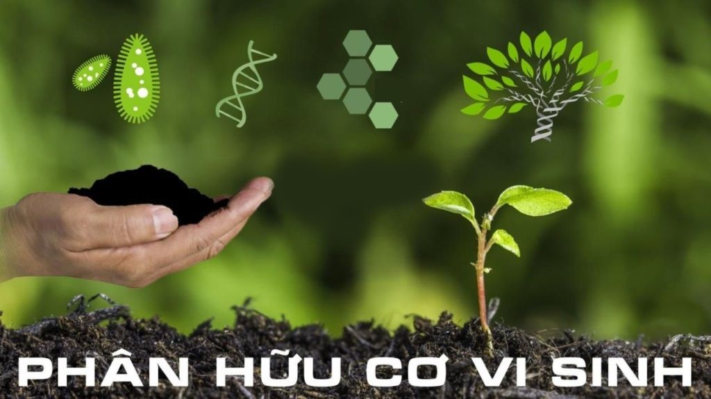 Phân bón sinh học hay còn có tên gọi khác là phân bón hữu cơ sinh học, chúng được sản phẩm được sản xuất từ các nguyên liệu hữu cơ trộn lẫn với nhau và xử lý các công đoạn bằng cách lên men. Bên cạnh đó, có một hoặc nhiều hơn thế các loại vi sinh vật có lợi để tăng và cân bằng hàm lượng các chất dinh dưỡng cần thiết cho cây trồng.