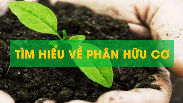 Bột hữu cơ vi sinh hay còn gọi là phân bón hữu cơ vi sinh, là một loại phân bón hữu cơ có chứa một hoặc nhiều chủng vi sinh vật có ích, được tạo thành bằng cách pha trộn và xử lý các nguyên liệu hữu cơ rồi sau đó cho lên men với các chủng vi sinh.