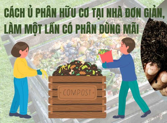 Phân bón sinh học hay còn có tên gọi khác là phân bón hữu cơ sinh học, chúng được sản phẩm được sản xuất từ các nguyên liệu hữu cơ trộn lẫn với nhau và xử lý các công đoạn bằng cách lên men. Bên cạnh đó, có một hoặc nhiều hơn thế các loại vi sinh vật có lợi để tăng và cân bằng hàm lượng các chất dinh dưỡng cần thiết cho cây trồng.