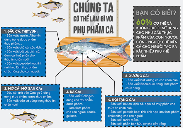 Phân đạm cá thực tế là loại phân được sản xuất từ nguồn nguyên liệu chính phụ phẩm của cá như đầu cá, ngũ tạng, xương cá, vây cá,… đem đi xay nhuyễn và được ủ lên men tạo thành phân bón, thường có dạng lỏng, nên còn được gọi là dịch đạm cá.