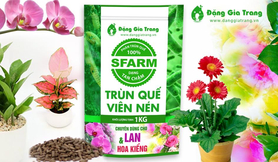 Phân tan chậm có kiểm soát (Controlled Release Fertilizer - CRF) là một loại phân bón dạng hạt giải phóng chất dinh dưỡng dần dần vào đất (tức là với một khoảng thời gian giải phóng có kiểm soát ).