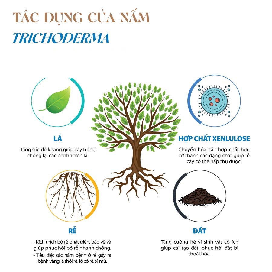 Phân bò Organic được biết đến là nguồn dinh dưỡng cao thuộc thành phần hữu cơ tốt cho cây trồng. Và việc người nông dân sử dụng phân bò để bón cho cây trồng trong chăn nuôi dường như đã quá quen thuộc.