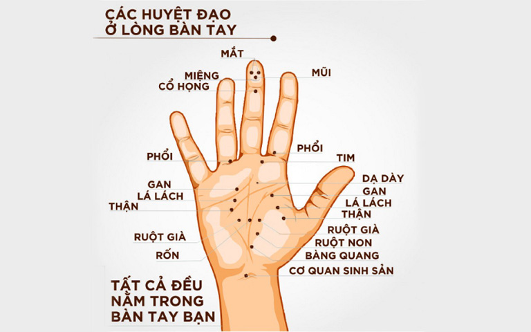 Rối loạn giấc ngủ được xem là những biểu hiện rất thường xảy ra trong y khoa nói chung và trong tâm thần học nói riêng. Chúng có thể gây trở ngại nghiêm trọng cho các hoạt động bình thường về thể chất, tinh thần, xã hội và ảnh hưởng lớn đến cảm xúc.