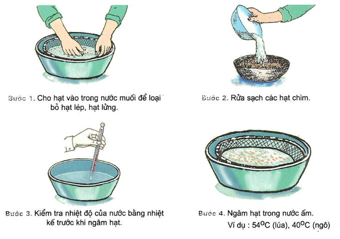 Bột sinh rễ hay ta thường gọi thuốc kích rễ, thuốc kích thích ra rễ,... thuốc này có tác dụng giống như tên ta gọi nó. Chúng giúp kích thích rễ làm cho cây phát triển hệ thống rễ khỏe mạnh. Rễ càng nhiều, chắc và khỏe thì cây càng khỏe mạnh, độ tăng trưởng cao.