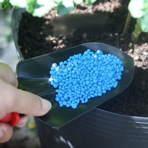 Phân đạm xanh Organic là dạng phân vô cơ có các hạt màu xanh, chúng bổ sung các hoạt chất sinh học để dùng trong nông nghiệp. Là loại phân bón được sử dụng phổ biến hiện nay phục vụ cho nhu cầu sản xuất nông nghiệp.