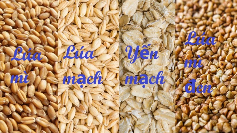 Ngũ cốc nếu chúng ta hiểu theo ý nghĩa Hán Việt - "ngũ" có nghĩa là 5 còn “cốc” được dùng để chỉ lương thực hoặc hoa màu từ thời xa xưa. Do đó, "ngũ cốc" có ý nghĩa là tên của loại thực phẩm từ 5 loại thành phần khác nhau, cụ thể là 5 loại hạt dinh dưỡng.