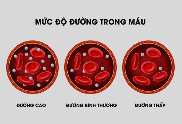 Ngũ cốc nếu chúng ta hiểu theo ý nghĩa Hán Việt - "ngũ" có nghĩa là 5 còn “cốc” được dùng để chỉ lương thực hoặc hoa màu từ thời xa xưa. Do đó, "ngũ cốc" có ý nghĩa là tên của loại thực phẩm từ 5 loại thành phần khác nhau, cụ thể là 5 loại hạt dinh dưỡng.