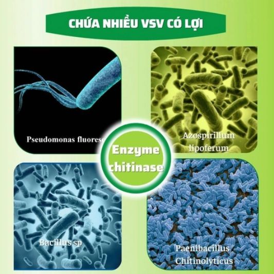 Thuốc trừ sâu sinh học được biết đến là chế phẩm có nguồn gốc từ tự nhiên, dùng để diệt trừ các thành phần sâu có hại cho cây để giúp chúng phát triển nhanh chóng và cho ra kết quả vượt trội.