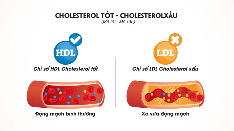 Hạt mè đen, vừng đen hay còn được gọi với cái tên là Hắc chi ma, là 1 loại gia vị đã xuất hiện khá lâu và hiện chúng khá phổ biến, có mặt ở hầu hết các gian bếp trong gia đình.