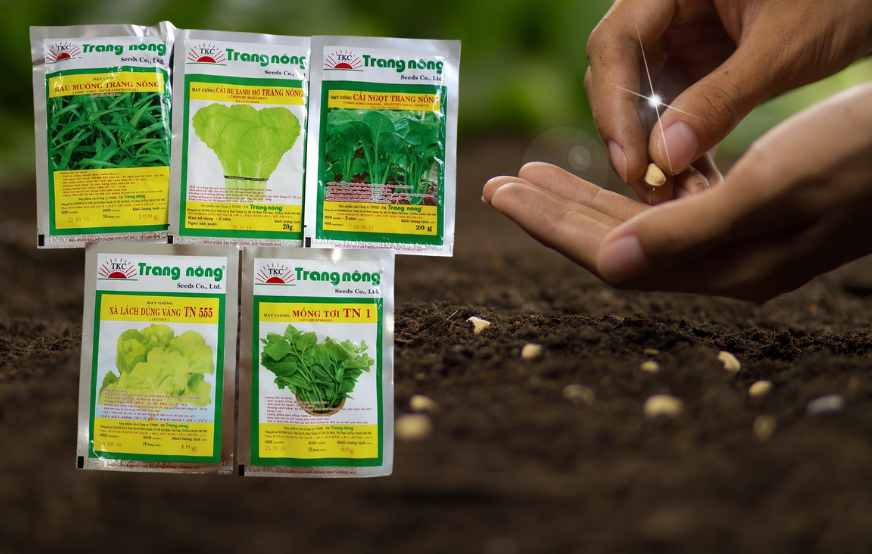 Vai trò của hạt giống trong canh tác nông nghiệp