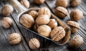 Lợi ích khi sử dụng máy đóng gói hạt óc chó