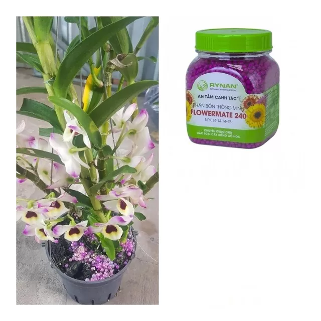 Phân tan chậm thông minh cho lan (smart fertilizers), được sử dụng nhiều ở các nước với các nền công nghiệp tiên tiến và hiện đại như: Mỹ, Châu Âu và ngay cả Châu Á đã được sử dụng rất nhiều tại Nhật, Hàn Quốc, Đài Loan, Thái Lan, Malaysia, Indonesia,…