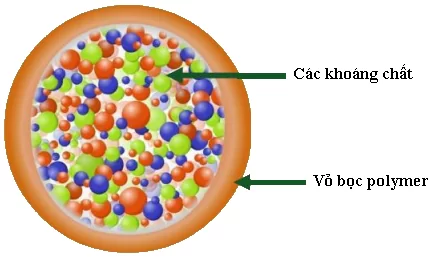 Phân tan chậm thông minh cho lan (smart fertilizers), được sử dụng nhiều ở các nước với các nền công nghiệp tiên tiến và hiện đại như: Mỹ, Châu Âu và ngay cả Châu Á đã được sử dụng rất nhiều tại Nhật, Hàn Quốc, Đài Loan, Thái Lan, Malaysia, Indonesia,…