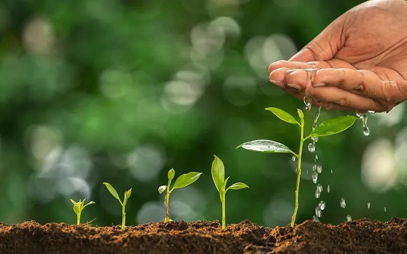 Phân bón sinh học hay còn có tên gọi khác là phân bón hữu cơ sinh học, chúng được sản phẩm được sản xuất từ các nguyên liệu hữu cơ trộn lẫn với nhau và xử lý các công đoạn bằng cách lên men. Bên cạnh đó, có một hoặc nhiều hơn thế các loại vi sinh vật có lợi để tăng và cân bằng hàm lượng các chất dinh dưỡng cần thiết cho cây trồng.