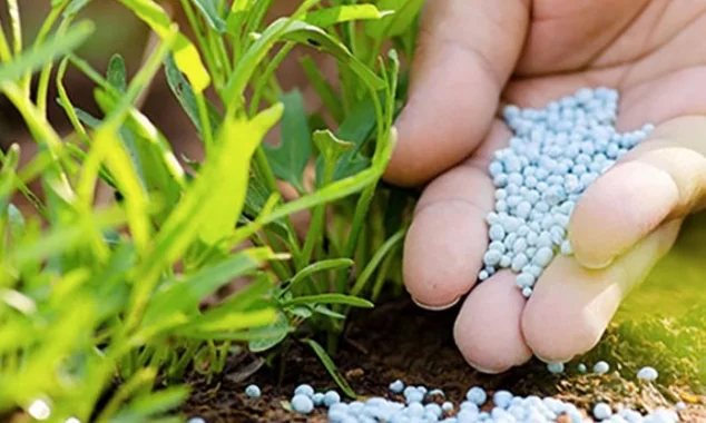 Phân bón sinh học hay còn có tên gọi khác là phân bón hữu cơ sinh học, chúng được sản phẩm được sản xuất từ các nguyên liệu hữu cơ trộn lẫn với nhau và xử lý các công đoạn bằng cách lên men. Bên cạnh đó, có một hoặc nhiều hơn thế các loại vi sinh vật có lợi để tăng và cân bằng hàm lượng các chất dinh dưỡng cần thiết cho cây trồng.