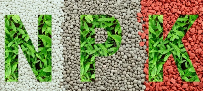 Phân tan chậm thông minh cho lan (smart fertilizers), được sử dụng nhiều ở các nước với các nền công nghiệp tiên tiến và hiện đại như: Mỹ, Châu Âu và ngay cả Châu Á đã được sử dụng rất nhiều tại Nhật, Hàn Quốc, Đài Loan, Thái Lan, Malaysia, Indonesia,…