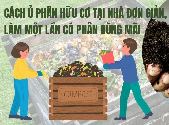 Phân bón sinh học hay còn có tên gọi khác là phân bón hữu cơ sinh học, chúng được sản phẩm được sản xuất từ các nguyên liệu hữu cơ trộn lẫn với nhau và xử lý các công đoạn bằng cách lên men. Bên cạnh đó, có một hoặc nhiều hơn thế các loại vi sinh vật có lợi để tăng và cân bằng hàm lượng các chất dinh dưỡng cần thiết cho cây trồng.