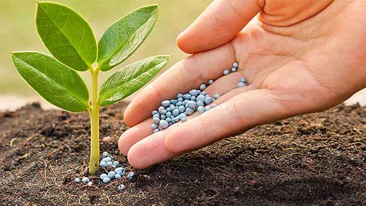 Phân tan chậm có kiểm soát (Controlled Release Fertilizer - CRF) là một loại phân bón dạng hạt giải phóng chất dinh dưỡng dần dần vào đất (tức là với một khoảng thời gian giải phóng có kiểm soát ).