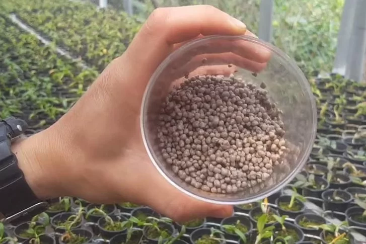 Phân tan chậm có kiểm soát (Controlled Release Fertilizer - CRF) là một loại phân bón dạng hạt giải phóng chất dinh dưỡng dần dần vào đất (tức là với một khoảng thời gian giải phóng có kiểm soát ).