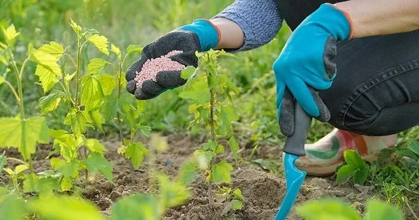 Hóa chất Magie Sulfate là gì? Chúng có bao nhiêu dạng khác nhau, công dụng cũng như cấu tạo như thế nào? Những tính chất lý hóa nào đặc trưng cho MgSO4? Muối Epsom được điều chế bằng cách nào? Magnesium sulfate có tác dụng gì? Khi sử dụng và bảo quản chúng ta cần phải lưu ý những điều gì?