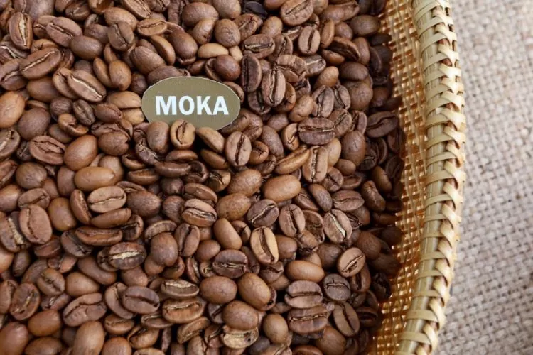 Cà phê các loại trên thế giới nói chung có rất nhiều và trên 50 quốc gia tham gia trồng rồi xuất khẩu cà phê đi muôn nơi. Với công nghệ và sự phát triển của khoa học, nên cà phê đa dạng các mẫu mã lẫn hình, mùi vị để phục vụ con người chúng ta. Dù là cà phê thuần chủng lẫn lau tạo thì chúng đều mang đến chất lượng tuyệt hảo và năng suất cao hơn.