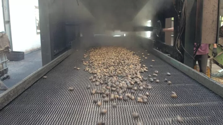 Máy đóng gói hạt điều là chiếc máy hiện nay được nhiều người tin dùng, vì chúng cho ra các sản phẩm chất lượng từ bao bì đến cách bảo quản.