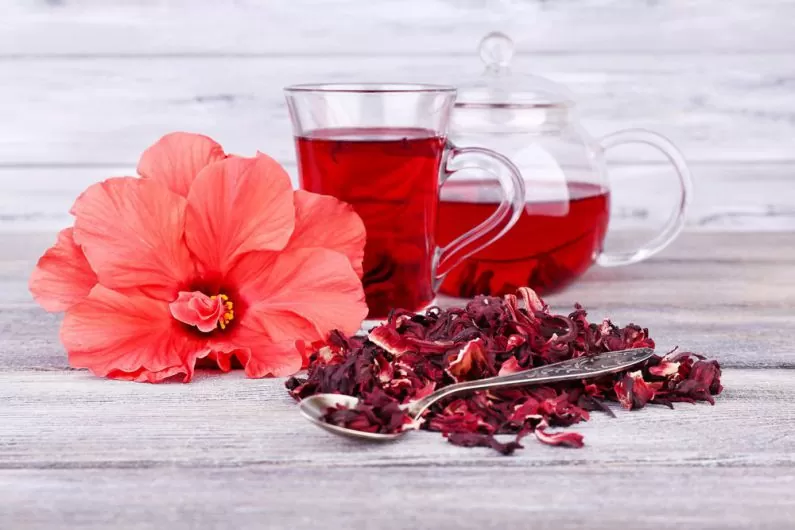 Những loại trà tốt cho sức khoẻ, giúp giải khát còn có cả chất chống oxy hoá rất tốt cho sức khoẻ người dùng, hỗ trợ về thể chất và ngăn ngừa bệnh tật,...
